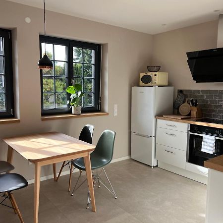 Neubau Im Loft-Stil Mit Grosser Terrasse Lörrach Extérieur photo