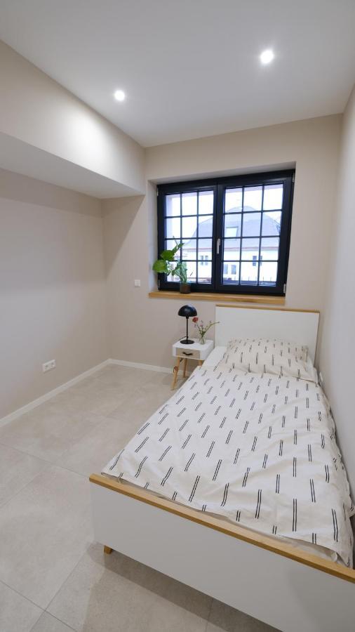 Neubau Im Loft-Stil Mit Grosser Terrasse Lörrach Extérieur photo
