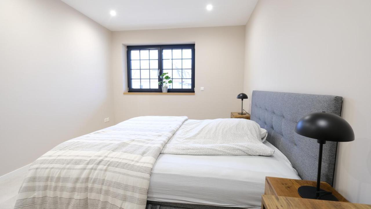 Neubau Im Loft-Stil Mit Grosser Terrasse Lörrach Extérieur photo